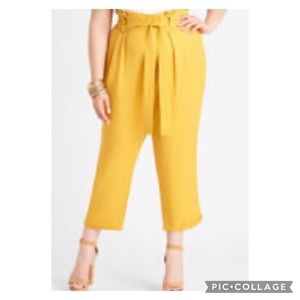 Size 20 NWT Paperbag Gold Pants, Elastic Waist